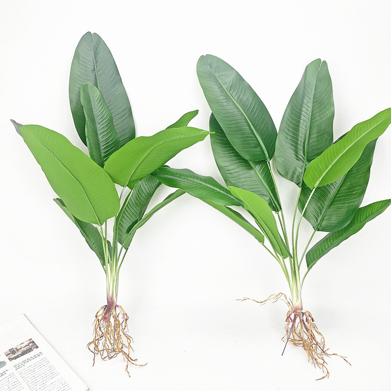 Artificial Banana Tree Green S - Dracaena Marginata ulasan dan harga