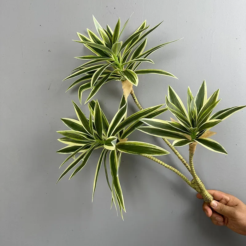 Artificial Green Plants Tropic - Dracaena Marginata ulasan dan harga