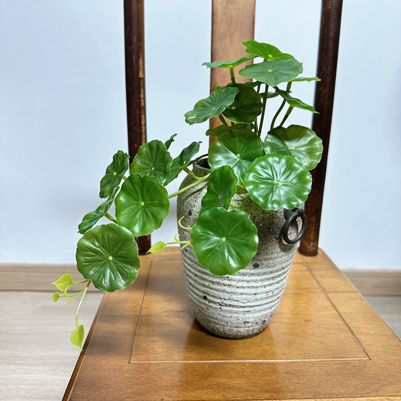 2pcs Artificial Pilea Peperomi - Pilea Peperomioides ulasan dan harga